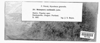 Image Associated With the Occurence